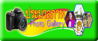 ประมวลภาพ